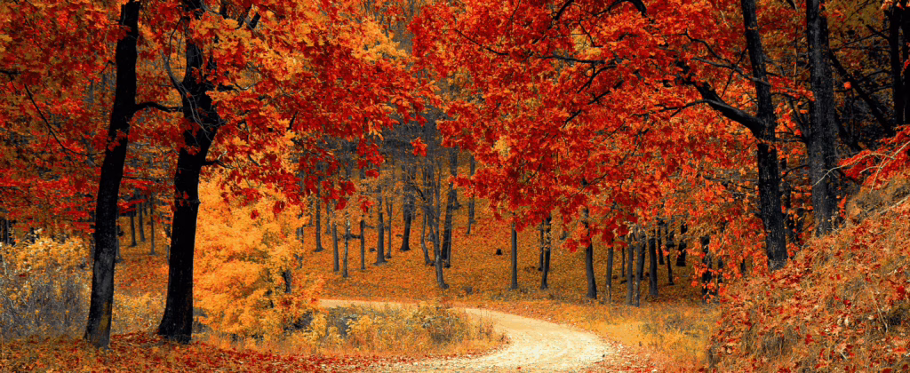 Cocktail sans alcool saveurs dorées