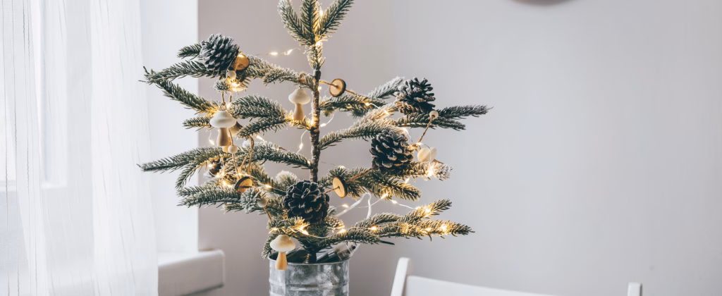 Noël en toute sobriété