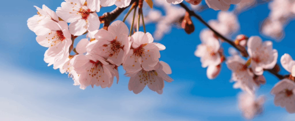 Profiter de la nature en avril