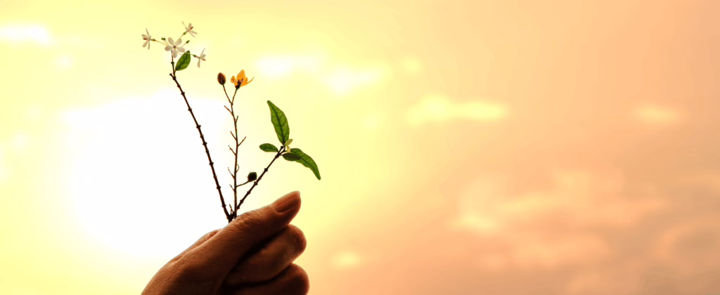Gratitude
